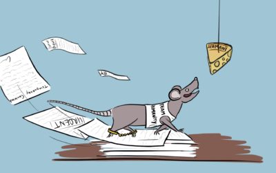 Are you Stuck in the International Non-Profit Rat Race?